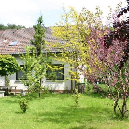 Pension Haus Zum Schlehenberg Bayreuth Esterno foto