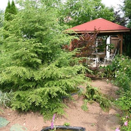 Pension Haus Zum Schlehenberg Bayreuth Esterno foto